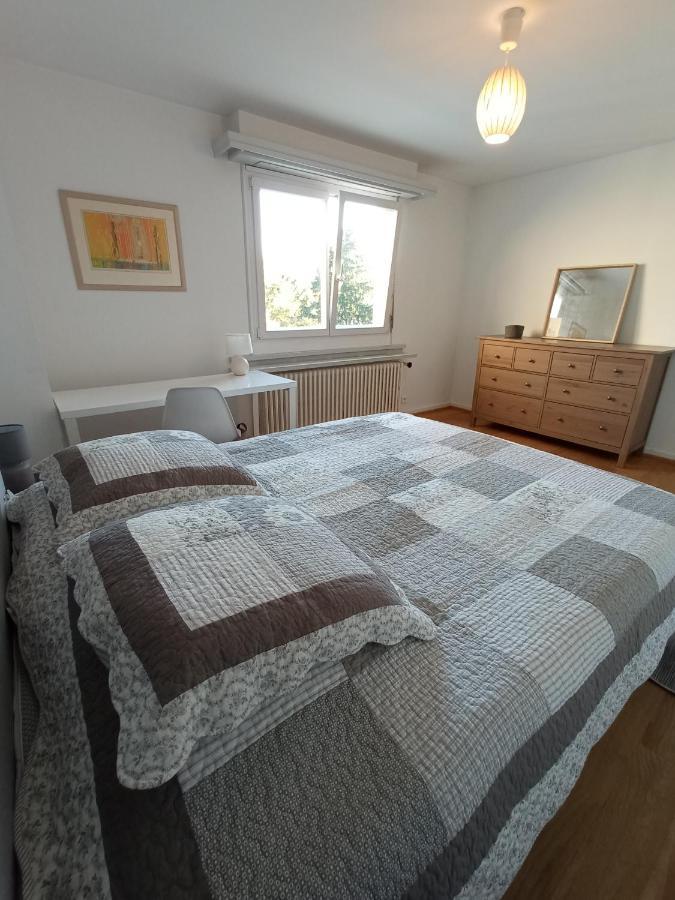 Rare A - Champ De Mars Vue Sur Parc - 70m2 - 2 Appartement Colmar