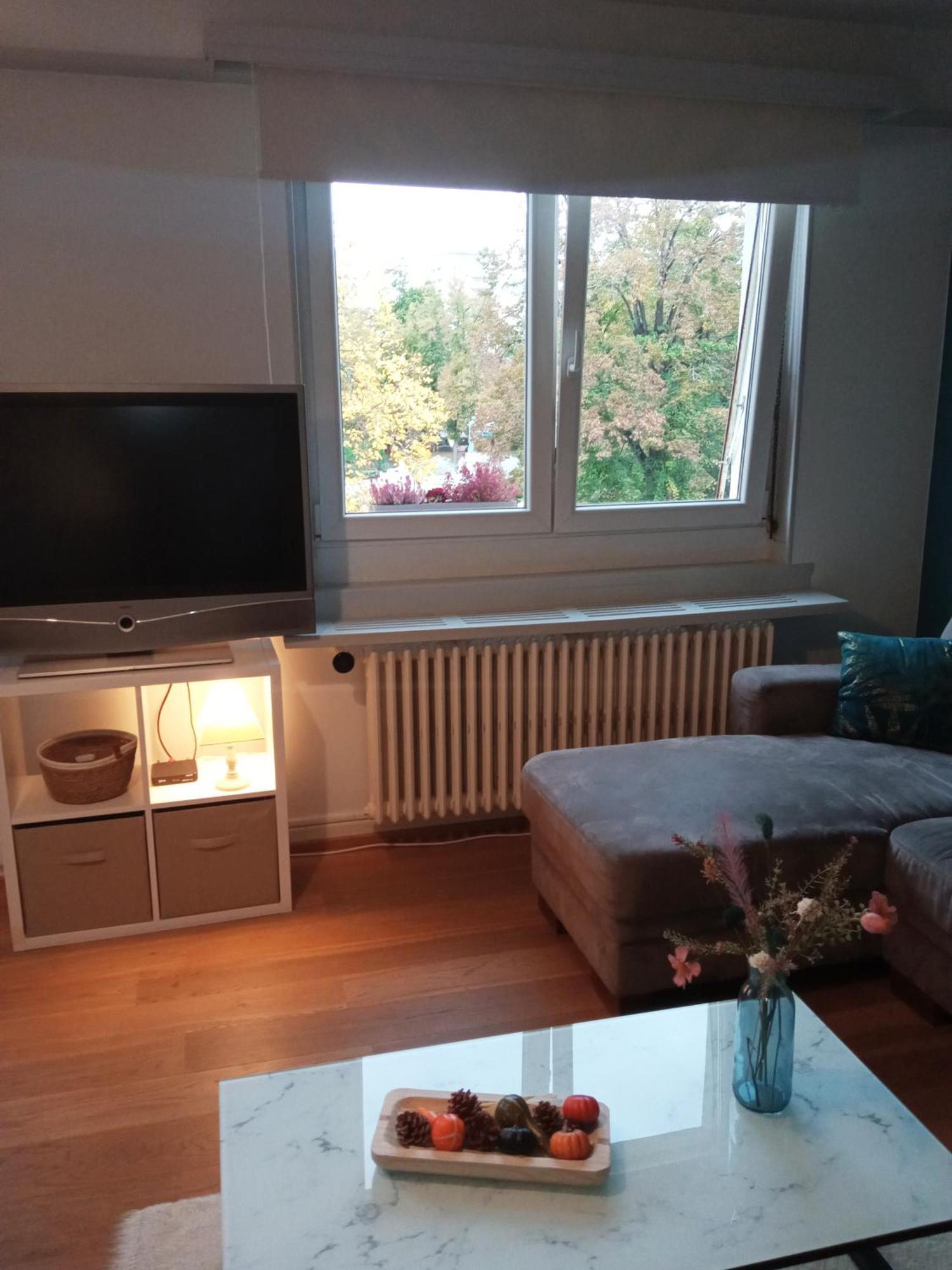 Rare à - Champ De Mars Vue Sur Le Parc - 70m2 Colmar